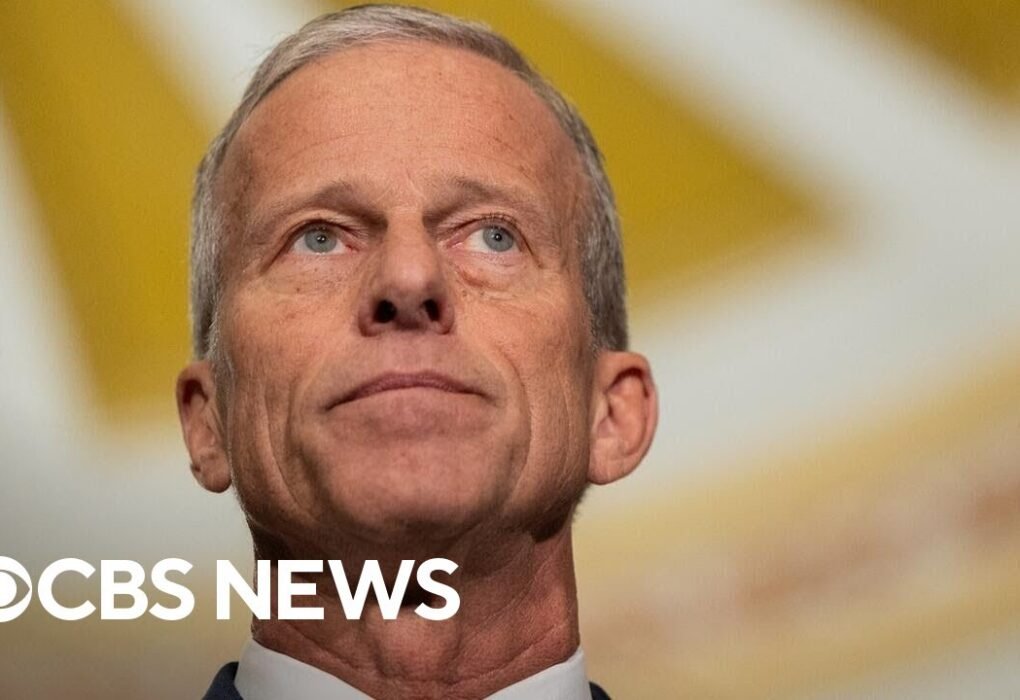 john thune